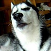 逗比简笔动画头像