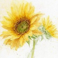 逗比女汉子头像