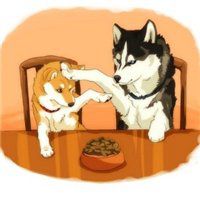 逗拍怎样弄头像