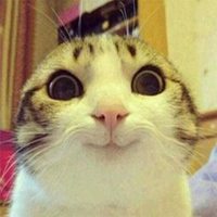 欧美男头像逗比