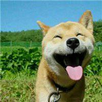 高怪逗比情侣头像