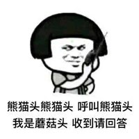 逗逗醒了吗头像