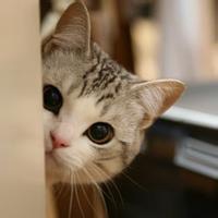 王逗逗微博头像