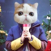 搞怪逗比头像女