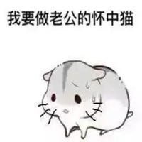 头像带逗比二字