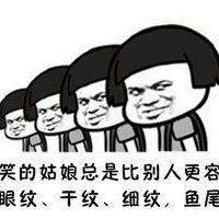 高清头像猫逗比