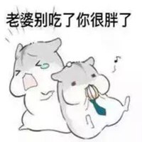 逗比头像卡通猫