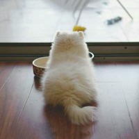 搞怪逗比男头像