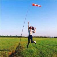 斗鱼秀逗狗头像