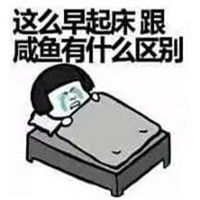 逗比女生头像最新