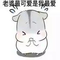 逗拍怎么更换头像