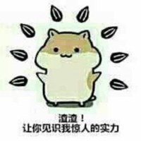 路飞头像高清逗比