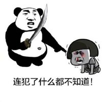 逗比情侣头像宠物