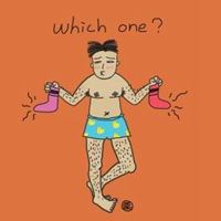 高清头像猫逗比