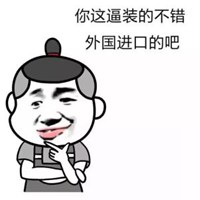 逗比情侣头像宠物