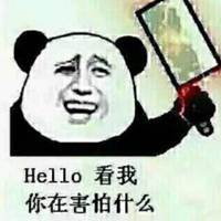 逗比头像卡通猫