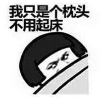 秋田犬逗比头像