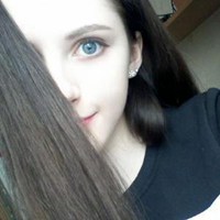 逗比树袋熊头像