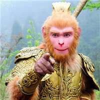 长草颜团子孙悟空头像