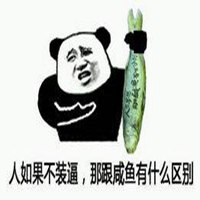 装逼有内涵头像