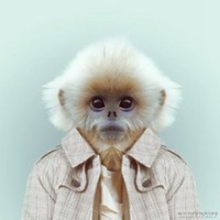 血腥邪恶动漫头像