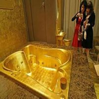 手握方向盘炫富头像