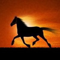 健身励志文字头像 健身励志文字头像