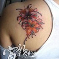 微信纹身女人个性网头像 微信纹身女人个性网头像