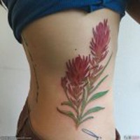 小清新裸体纹身女人图片头像头像