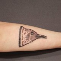 动漫中有纹身女人头像集 动漫中有纹身女人头像集