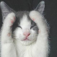 男生卡通笑容头像