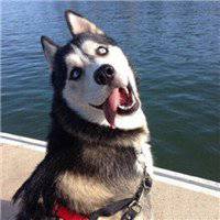 正能量图片搞笑头像