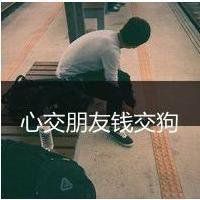 微信头像小鸡搞笑