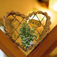 女头像图片盆栽 女头像图片盆栽