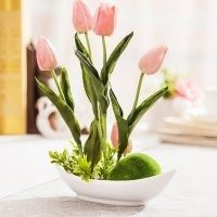 喜欢用盆栽花做头像 喜欢用盆栽花做头像