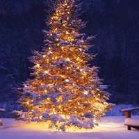 微信头像夜景城市 微信头像夜景城市