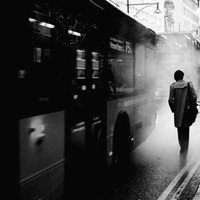 背影抱猫黑白男生头像