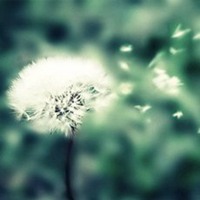 微信情侣头像一对两张浪漫 微信情侣头像一对两张浪漫