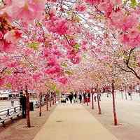 微信头像女浪漫唯美