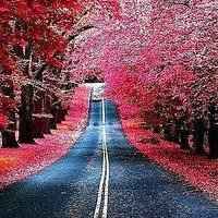 情侣头像唯美浪漫暖 情侣头像唯美浪漫暖