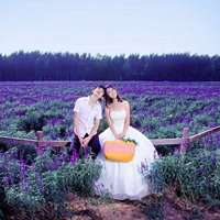 动漫情侣头像了浪漫