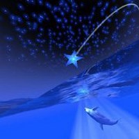 梦幻浪漫樱花落头像 梦幻浪漫樱花落头像