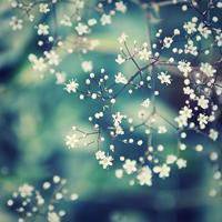 不会浪漫微信头像