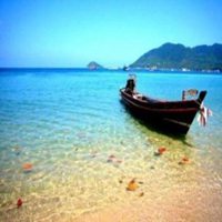 唯美浪漫头像卡通