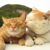 浪漫微信头像女生