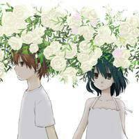 浪漫玫瑰花瓣头像