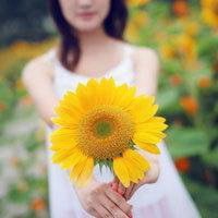 浪漫情情侣头像