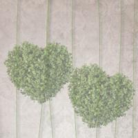 头像唯美浪漫女生头像 头像唯美浪漫女生头像