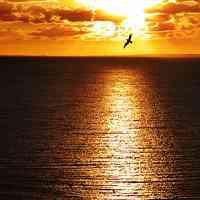 卡通动漫浪漫情侣头像女生