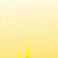 图片宠物头像大全纯色 图片宠物头像大全纯色